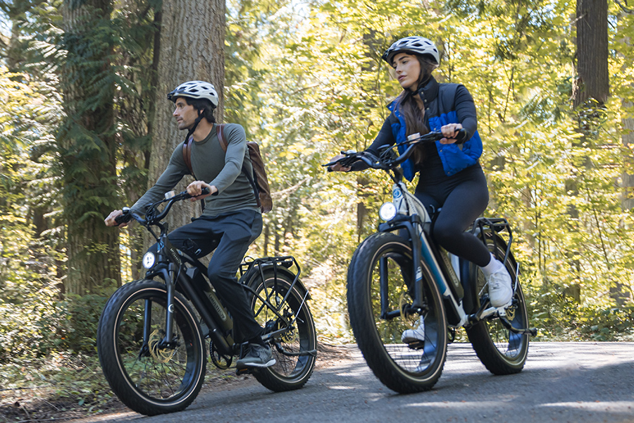 Reasons to Buy a Fat Tire Electric Bike | Multijoy Bikes