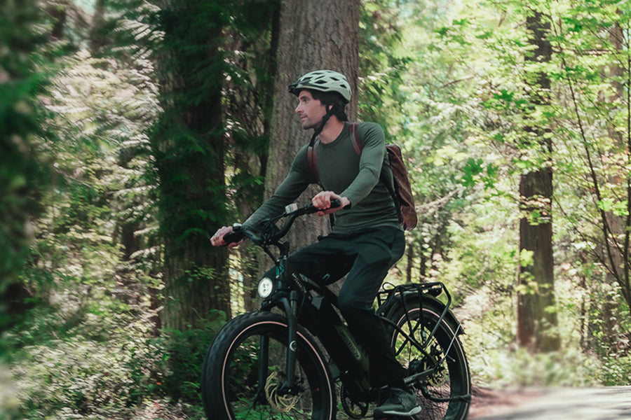 Fat Tire Electric Bike That Is Perfect For Spring Riding - Multijoy Bikes